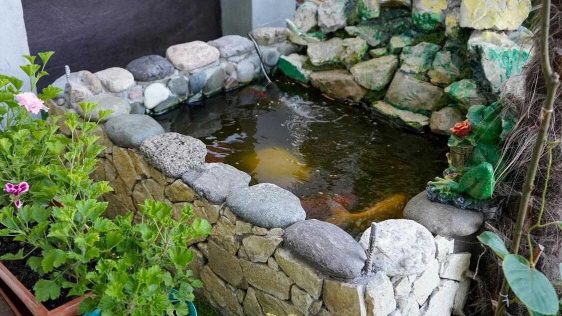 Вита Гагра Εξωτερικό φωτογραφία